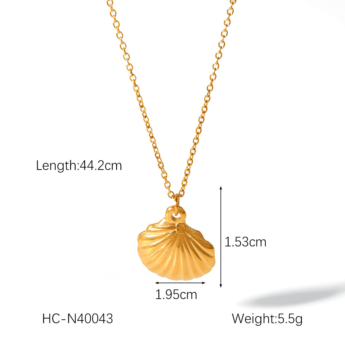 Ocean Element Titanium Steel Necklace Scallop Pendant Stainless Steel Necklace Women's Light Luxury Temperament Versatile Necklace