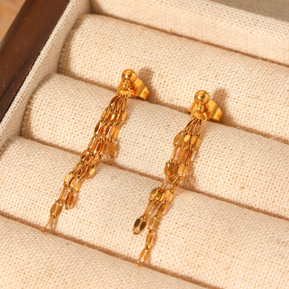 Stainless Steel Lip Chain Tassel Earrings, Luxurious and High-end Ear Jewelry, Made of Titanium Steel, Non-fading Earrings