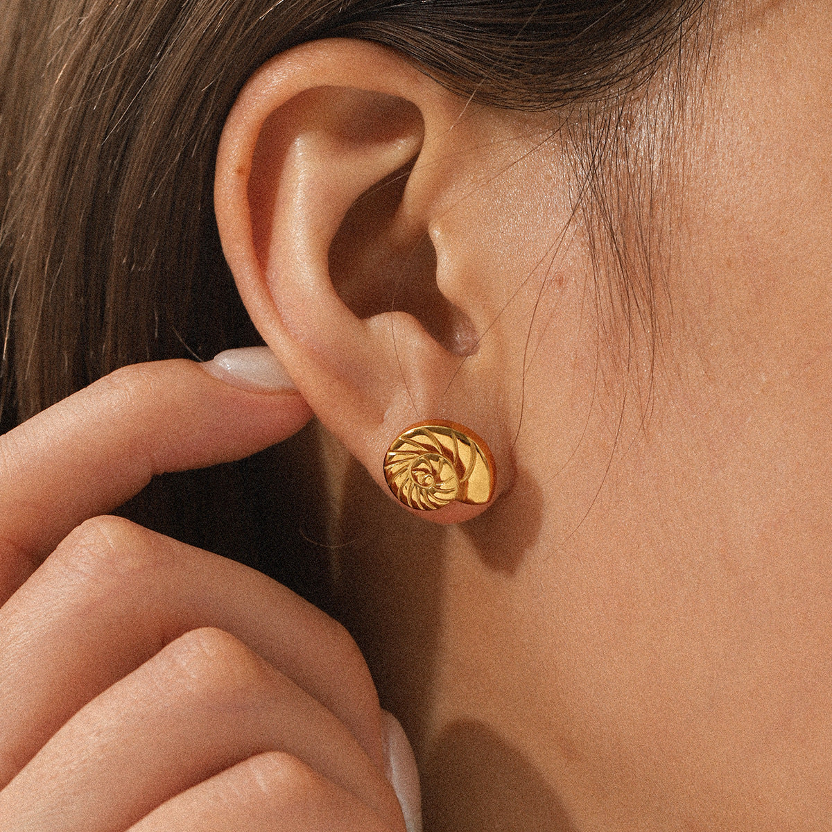 Ocean Wind Jewelry 18K Gold Stainless Steel Conch Ear Studs Light Luxury Easy To Match Titanium Steel Non-fading Earrings