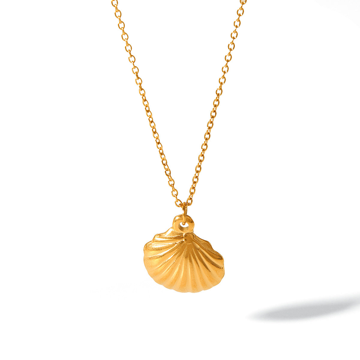 Ocean Element Titanium Steel Necklace Scallop Pendant Stainless Steel Necklace Women's Light Luxury Temperament Versatile Necklace