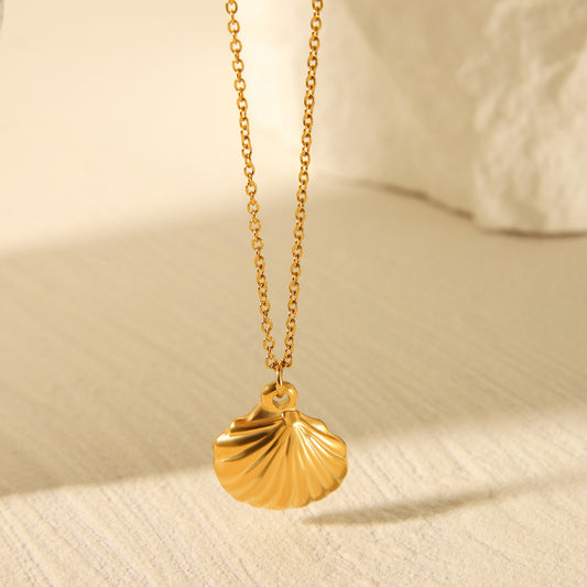 Ocean Element Titanium Steel Necklace Scallop Pendant Stainless Steel Necklace Women's Light Luxury Temperament Versatile Necklace